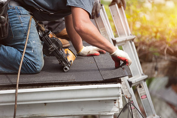 Roof Gutter Cleaning in Ocklawaha, FL